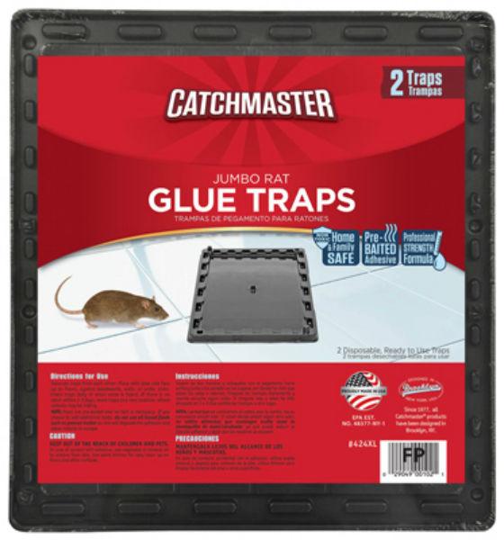 Atlantic Paste & Glue 602ED Mouse Wood Traps 2 Pack - Pack of 36, 36 - City  Market